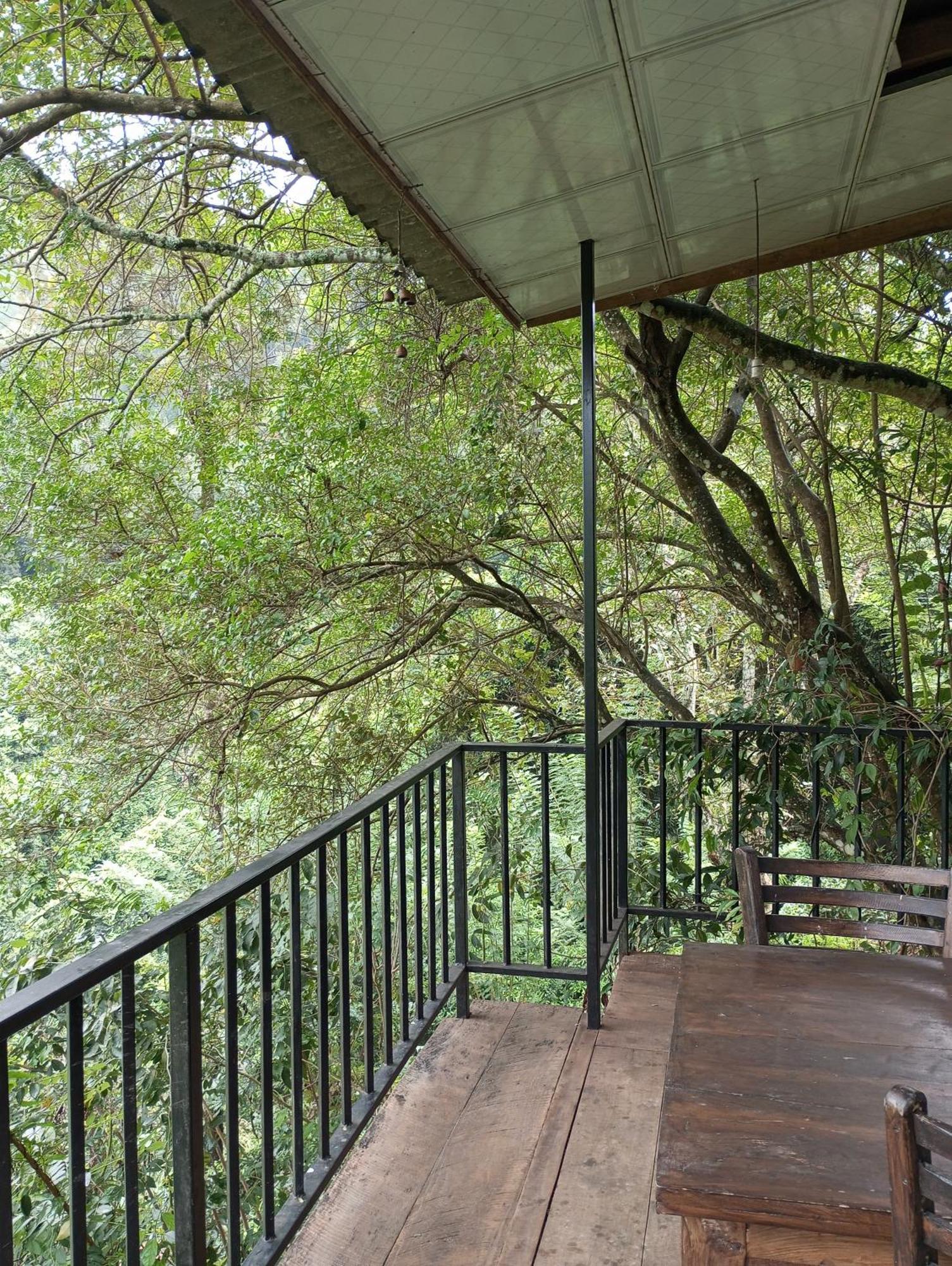 Homestay Chanidu *